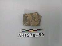 藏品(灰色細砂陶片)的圖片